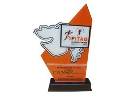 FITAG LEADERSHIP AWARD 2010